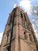 Notre-Dame de la Treille - Bell Tower