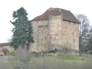 Castillo Puy-Launay