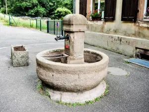 Fontein, in de buurt van het stadhuis (© JE)