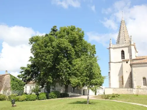 Chiesa Saint-Martin - Monumento a Listrac-Médoc