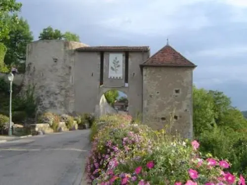 Liverdun - Guía turismo, vacaciones y fines de semana en Meurthe y Mosela