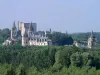 Citadel of Loches