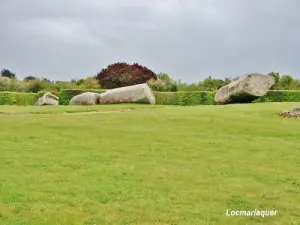 Large broken menhir - 18.5 meters (© JE)