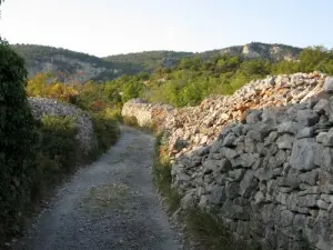 Chemin du Grézac aux environs de Lodève