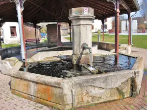 fuente - lavar la cuenca en el centro del pueblo (© Jean Espirat)