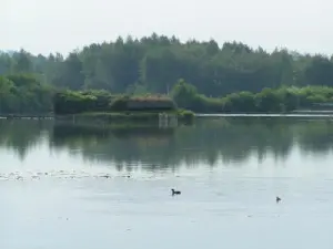 Moerassen en hun jachthutten