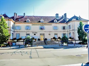 Mairie de Louhans (© JE)