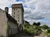 Fortified castle