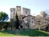 城堡Lourmarin - 建筑物在Lourmarin