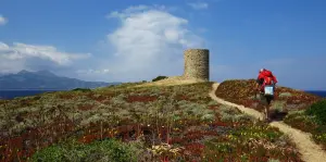 A torre a caminho de Spano