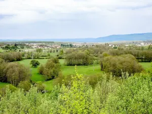 Lure, vom Belvedere des Butte de Vouhenans (J.E ©.) aus gesehen