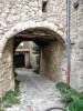 Entrée sud de la première enceinte du château de Lurs - Vue de l'extérieur (© J.E)