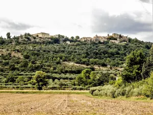 Lurs, gezien vanaf de weg Manosque-Sisteron (© J.E)