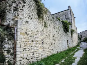 Noordwestmuur van het oude kasteel van Lurs (© J.E)