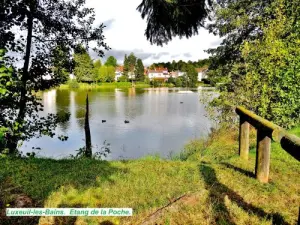 Riva sud dello stagno della tasca (© Jean Espirat)