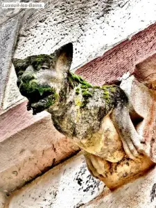 Gargoyle, casa dei Bailli (© Jean Espirat)