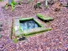 Fontaine du tonneau - Forêt du Banney (© Jean Espirat)