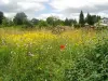 Tuin van Enfants - Recreatiegebied in Magnac-Laval