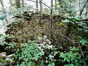 Noordoostelijke muur van het oude kasteel (© J.E)