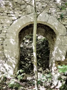 Porte, double, d'accès aux salles du vieux château - Vue intérieure (© J.E)