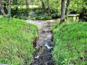 Meurcourt stream, at its mouth with the Durgeon (© JE)