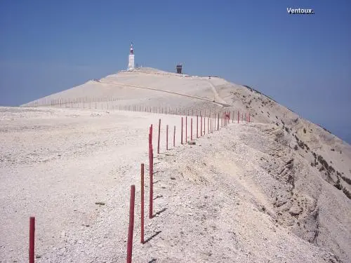 Malaucène - Sommet du Ventoux, vu de la crête Est