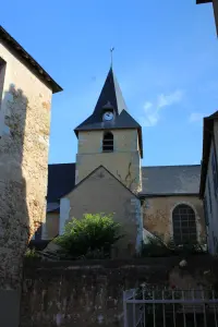 Saint-Sylvestre Church