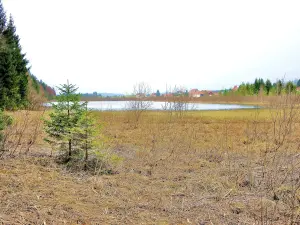 Autre vue sur le lac de Malpas (© Jean Espirat)