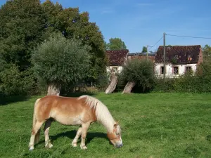 Moulin de Crecques