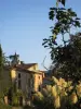 Manses - Gids voor toerisme, vakantie & weekend in de Ariège