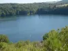 De Gur Tazenat van de natuurlijke site van het Regionaal Natuurpark Volcans d'Auvergne