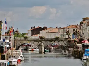 Puente sobre el Sèvre Niortaise