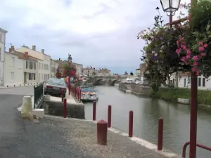 Puente sobre el Sèvre a Marans