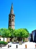 Telogia Ritter Platz