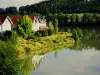 See Marciac