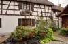 Marckolsheim - Tourism, holidays & weekends guide in the Bas-Rhin