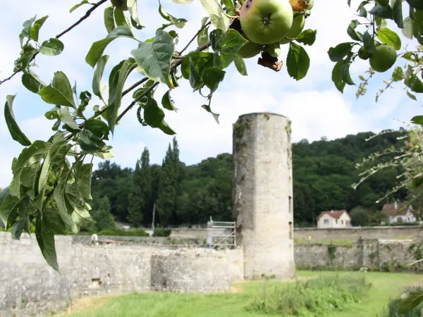 Château de Montagu - Monument à Marcoussis