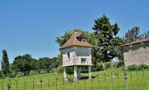 Léguillac-de-Cercles - Pigeonnier