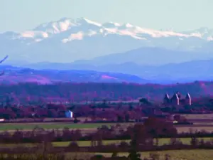 Point de vue sur le Mont Canigou