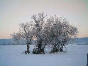 Paysage sous la neige fraîche