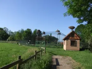 Parco delle cicogne