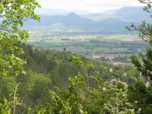 En montant dans la forêt