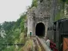 Truffadou Steam Train