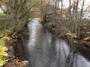 Нидербрюк-река Доллер осенью