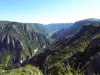 Schluchten von Tarn - Naturstätte in Massegros Causses Gorges