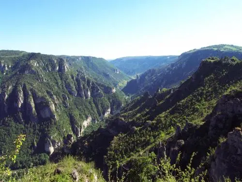 Bergengte van Tarn - Natuurgebied in Massegros Causses Gorges