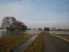 Saint-Florent-le-Vieil - The flooded Tau