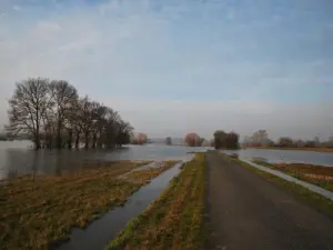 Saint-Florent-le-Vieil - Der überflutete Tau