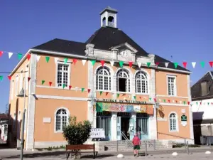 Le bureau de l'Office de Tourisme de Soule à Mauléon (© JLB)