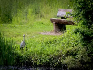 Pâtis Nature Park (© B. Galloux)